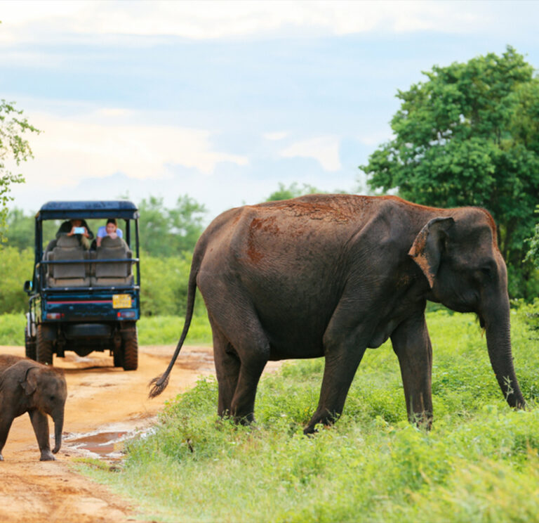 Udawalawe