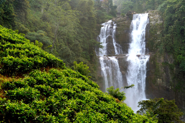 Beautiful waterfall in Sri Lanka