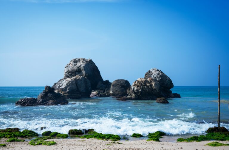 galle (11) (2)