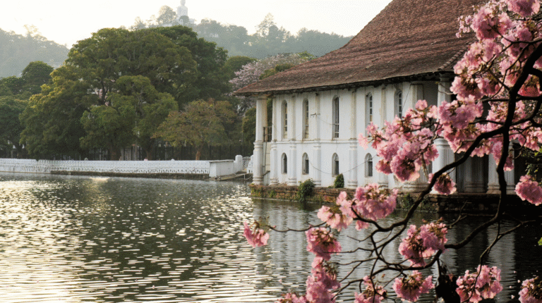 kandy-3 1