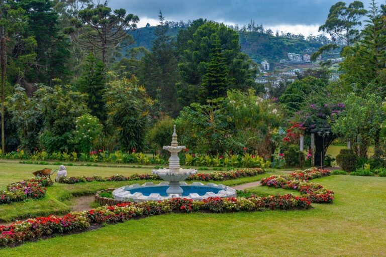 Victoria,Park,At,Nuwara,Eliya,,Sri,Lanka